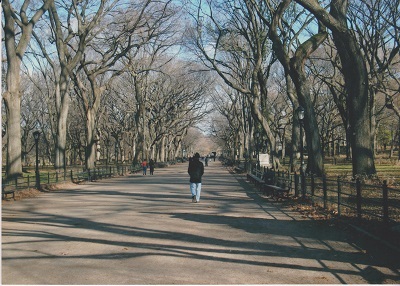 NYC 500 008