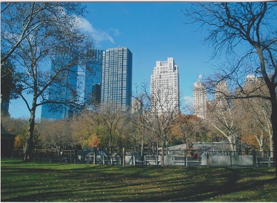 NYC 500 009