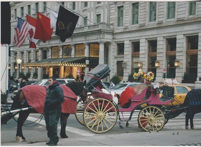 NYC 50 009