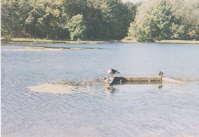 Ohio 006