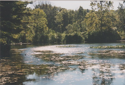 Ohio 010