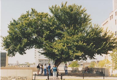 Okla 016
