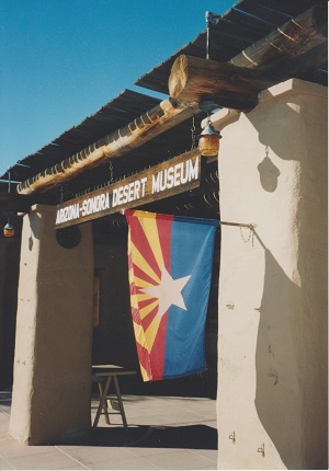 Saguaro 011