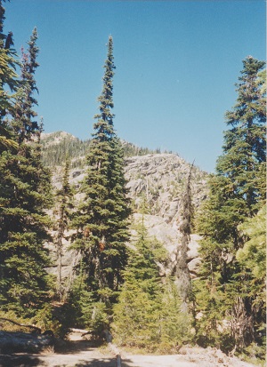 Wash 012