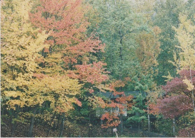 acad 008