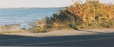 acadia 001