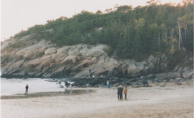 acadia 006