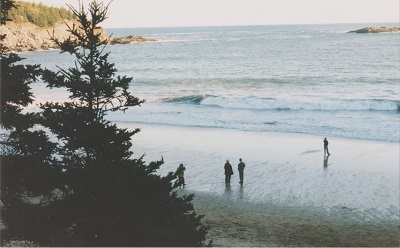acadia 007