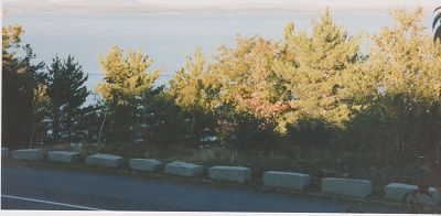 acadia 008