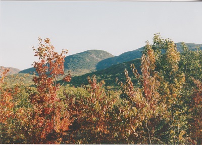 acadia 009