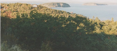 acadia 010