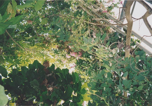 biosféra 001