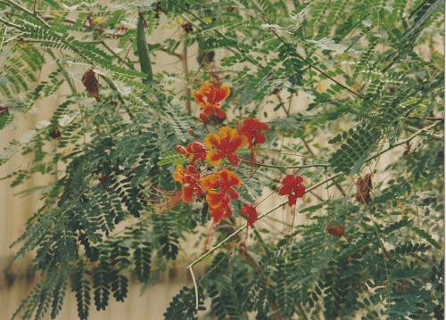 biosféra 002