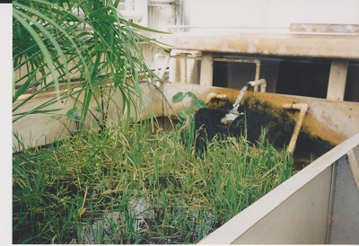 biosféra 011