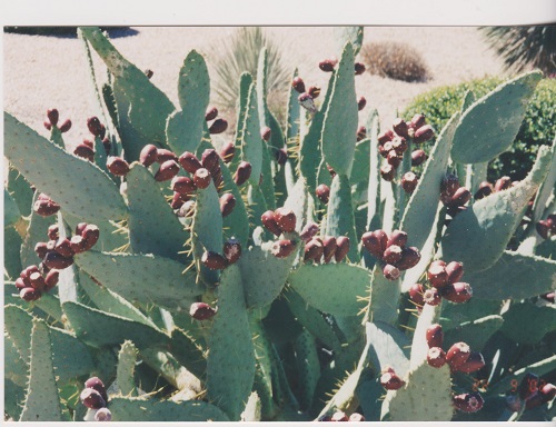 biosféra 012
