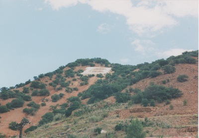 bisbee 001