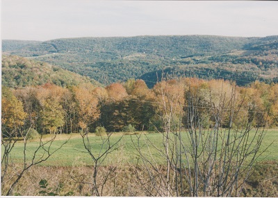 clinton 004