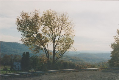 clinton 005