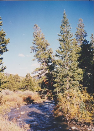colorado 002