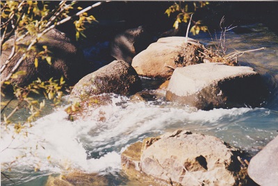 colorado 005