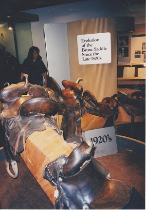 cow 006