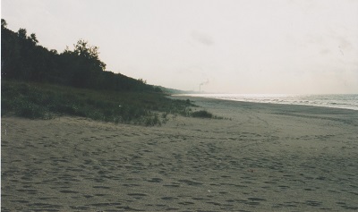 duny 006