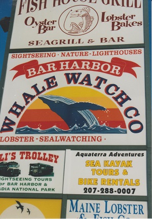 harbor 001