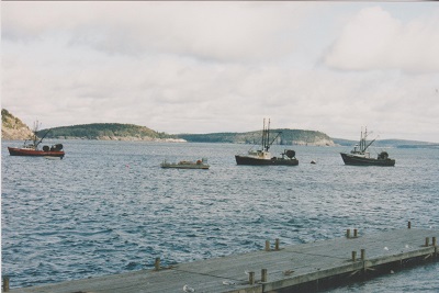 harbor 005