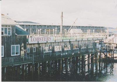 harbor 006