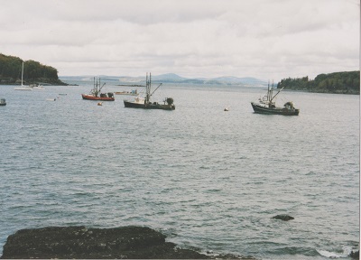 harbor 019
