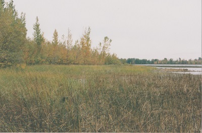 kan 002