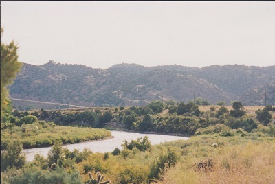 kolo 012