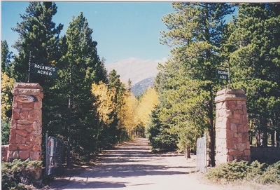 kolor 010