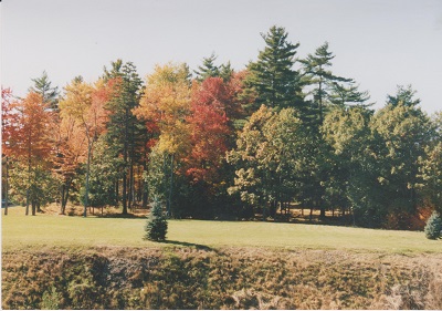 maine 008