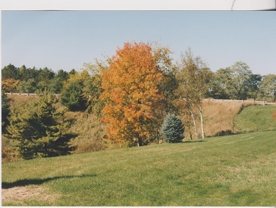 maine 009