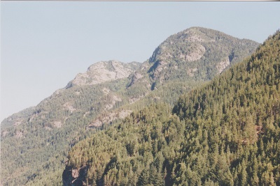 med 005