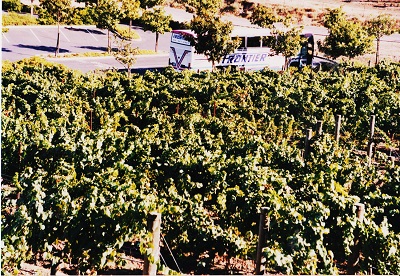 oak 001