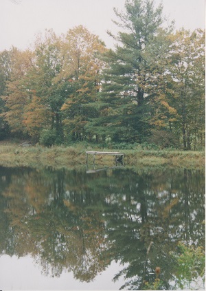 penna 013