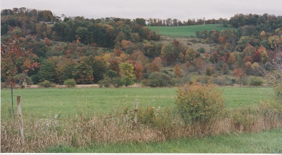penna 014