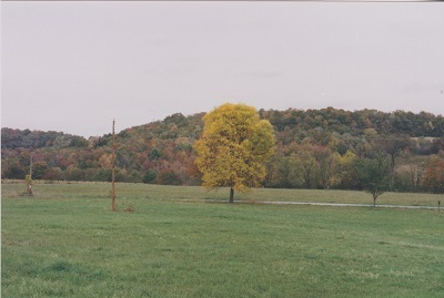 penna 015
