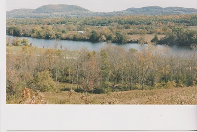 placid 008