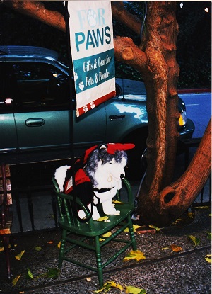 sf 2 002
