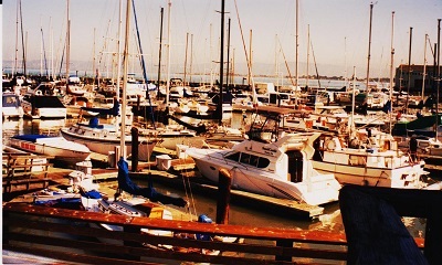 sf 2 003