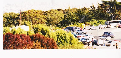 sf 2 009