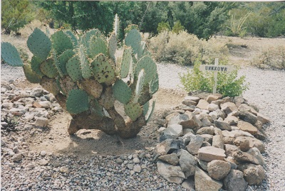 tomb 020