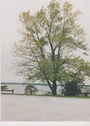vermont 008