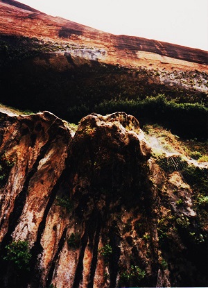 zion 002
