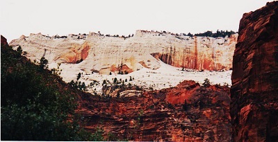 zion 004