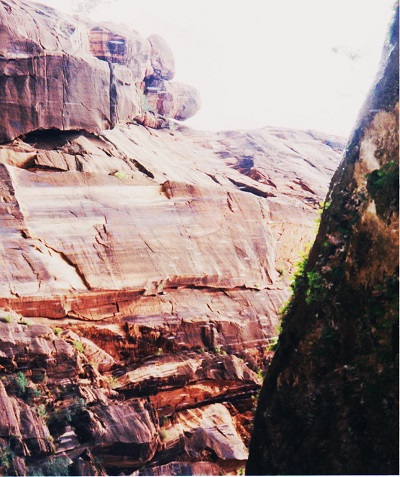 zion 006