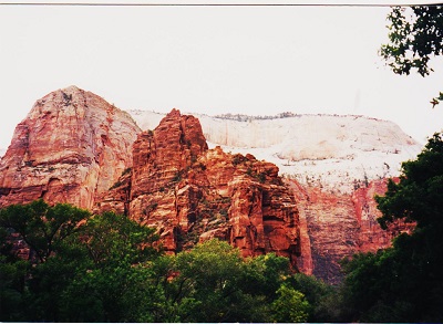 zion 008